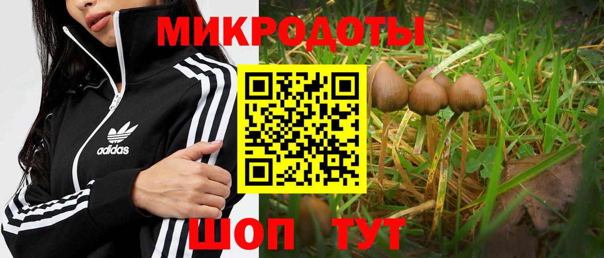Галлюциногенные грибы Psilocybine cubensis Ипатово