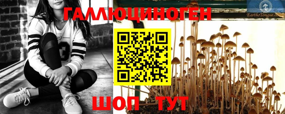 Ипатово  Галлюциногенные грибы MAGIC MUSHROOMS  Вход с VPN 